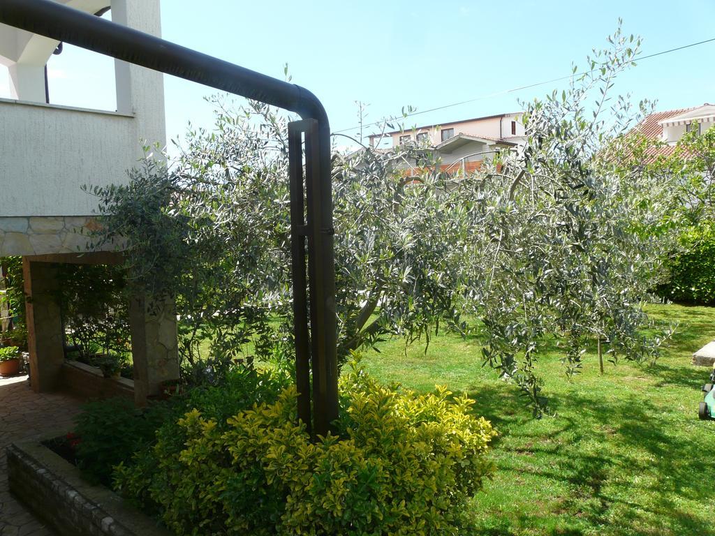 Apartments Mirela Poreč Eksteriør billede